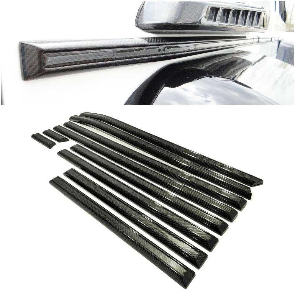 Carbon Side Moldings (10 pcs) Review TC-14175